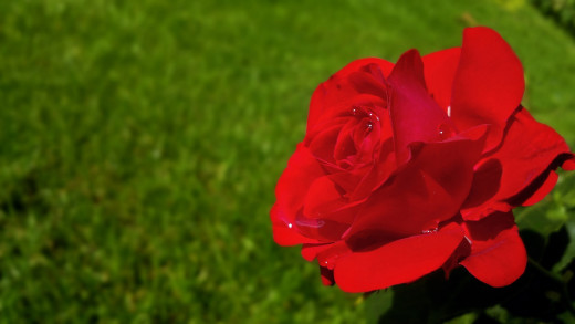 943907 (a): :2560x1440